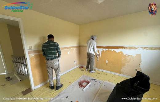 Painting Services in Brampton by Golden Star Painting GTA Inc.