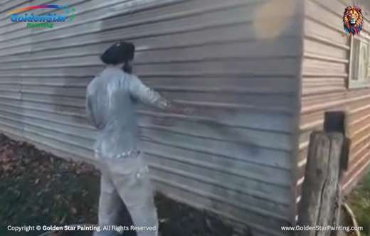 Painting Services in Brampton by Golden Star Painting GTA Inc.